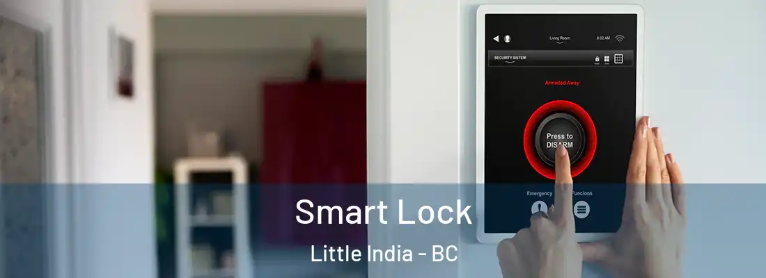  Smart Lock Little India - BC