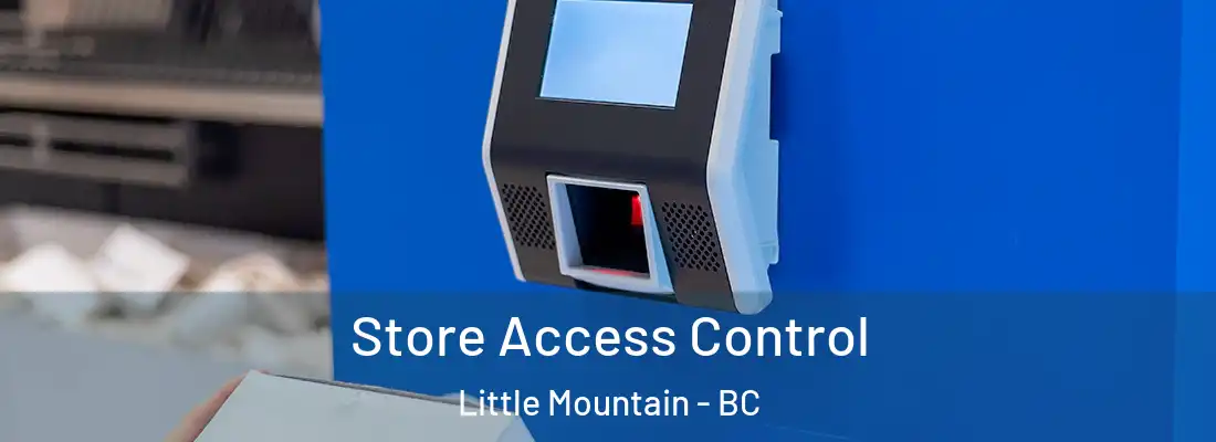 Store Access Control Little Mountain - BC