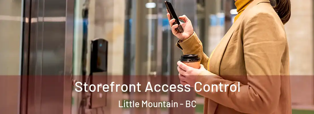  Storefront Access Control Little Mountain - BC