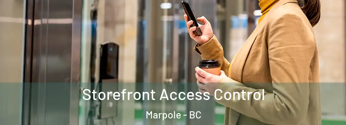  Storefront Access Control Marpole - BC