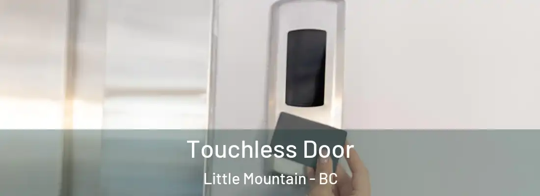  Touchless Door Little Mountain - BC