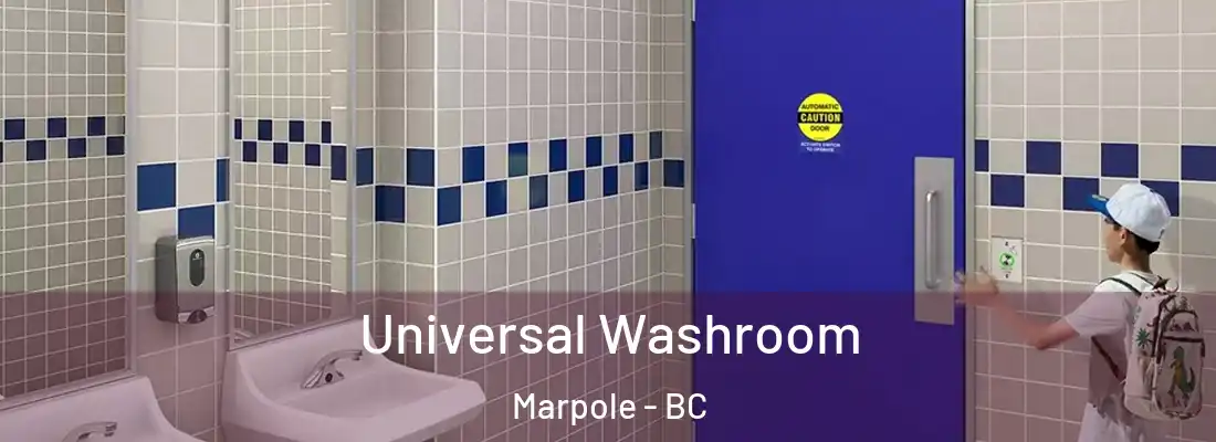  Universal Washroom Marpole - BC