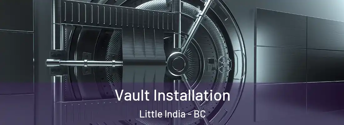  Vault Installation Little India - BC