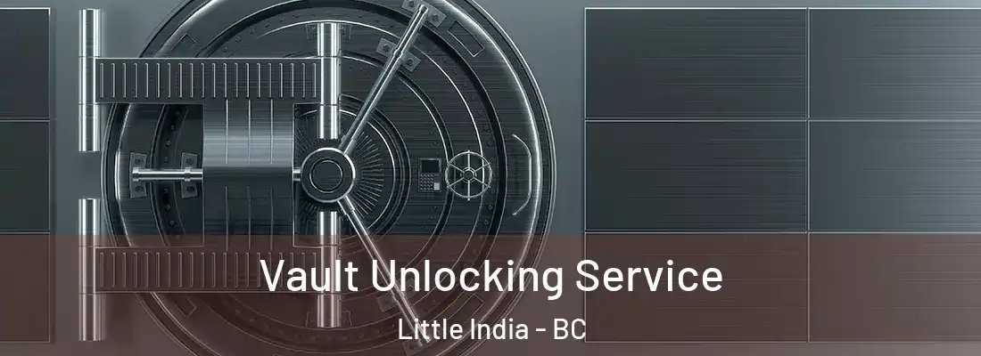  Vault Unlocking Service Little India - BC