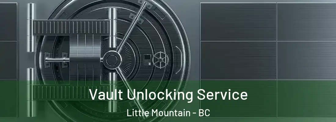  Vault Unlocking Service Little Mountain - BC
