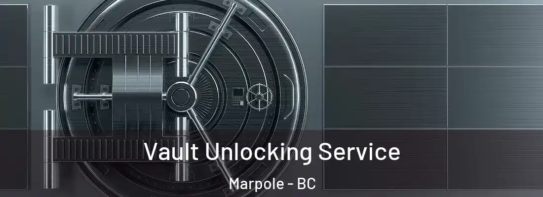  Vault Unlocking Service Marpole - BC