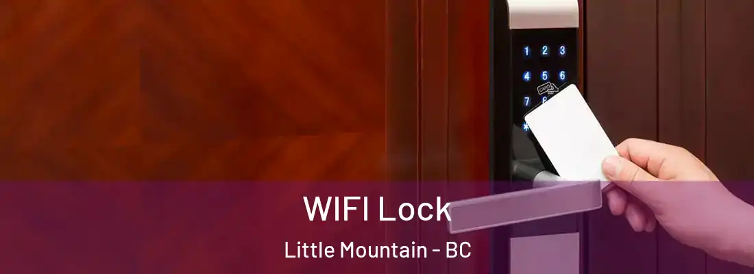  WIFI Lock Little Mountain - BC